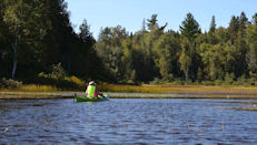 En approchant du ruisseau Bienvenue