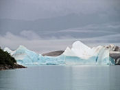 Le lac Alsek est totalement encombrés d'icebergs.