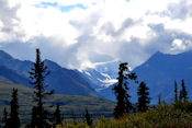 A Tok, l'Alaska Highway file vers Fairbanks mais on peut bifurquer vers Anchorage.