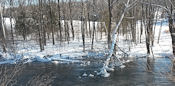 La rivière commence à geler.