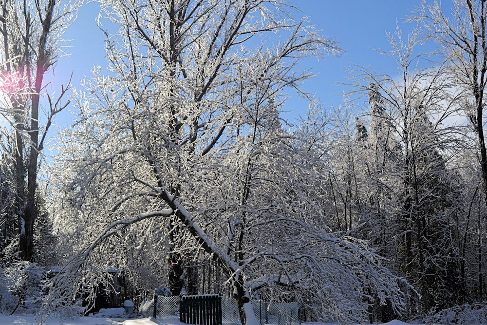 Petit matin glacial.