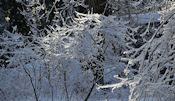 Le givre s'accumule.