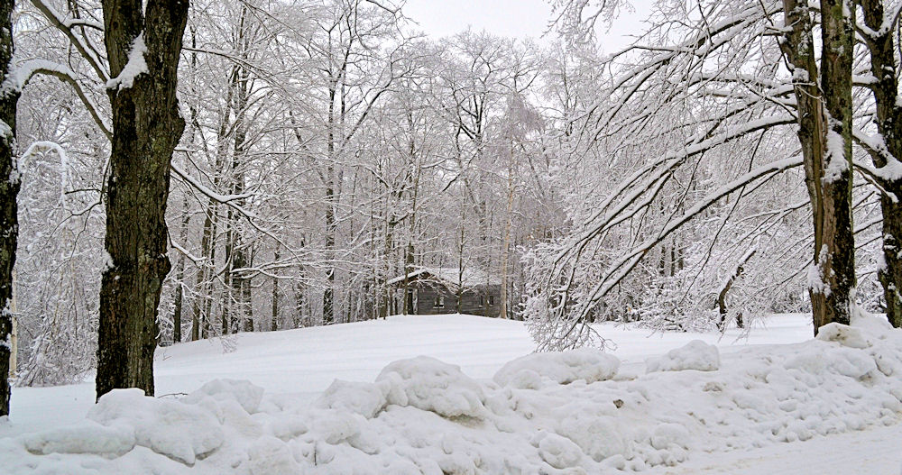 Cabane.