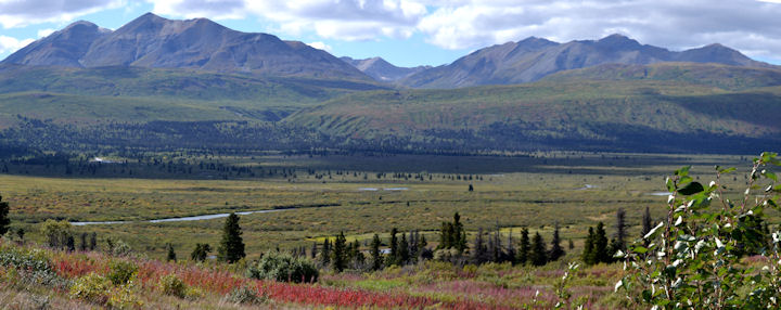 Sur la route entre Haines junction et Haines.