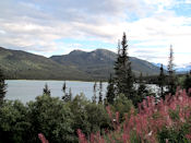 Sue la route qui mène de Skagway à Dyea ancien point de départ de la ruée vers l'or.