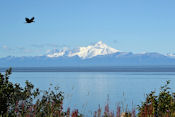 De l'autre côté de la baie le volcan du mont Redoubt.