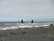 Une plage entre San Francisco et Eureka (Nord Californie).