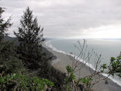 Une plage entre San Francisco et Eureka (Nord Californie).