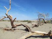 Mesquite flat sand dunes.