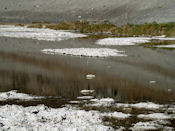 En certains endroits il y a de l'eau complètement saturée de sel.