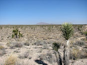 Immensité dans le désert de Mojave.