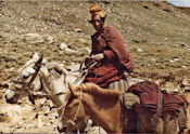 Il va nous aider à traverser un torrent avec les chevaux.