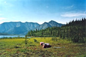 Summit Lake (Mc Dougall Pass) - Point de départ de la descente.