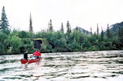 Les eaux sont hautes sur la Bell River. En contrepartie le courant relativement rapide facilite la descente.