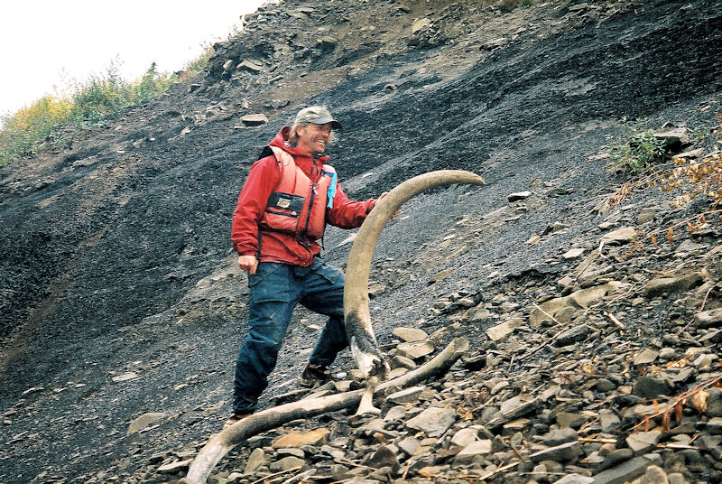 Découverte de défenses de mammouth laineux le long de la Peel river par Blaine Walden et Christian Roux.
