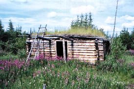 Vielle cabane le long de la Porcupine à l'approche de Old Crow