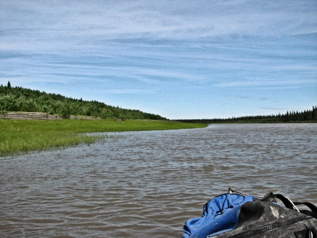 Les berges sont humides et souvent bordées d'herbes aquatiques.