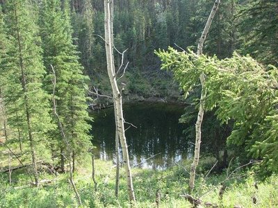 Petit lac d'effondrement dans le wood buffalo.