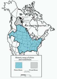 Aire de répartition du bison.