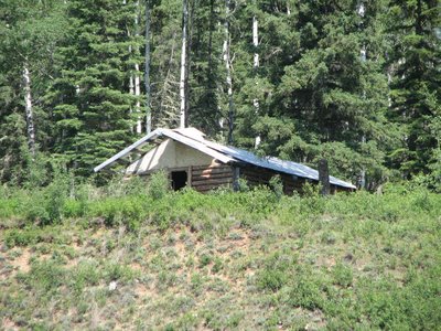 Cabane le long de la Peace river.