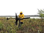 Provision de bois pour se chauffer en ce jour de grosse  pluie.