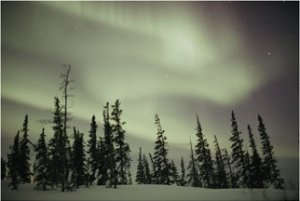 The Aurora Borealis shimmers in the sky above silhouetted evergreeens
