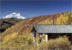 Lone Hiker Gazes across Tundra, Denali National Park, Alaska, USA