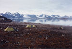 Au fond du Kongsfjord (Baie du roi)