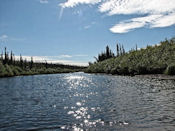 La rivière s'élargit néanmoins progressivement.