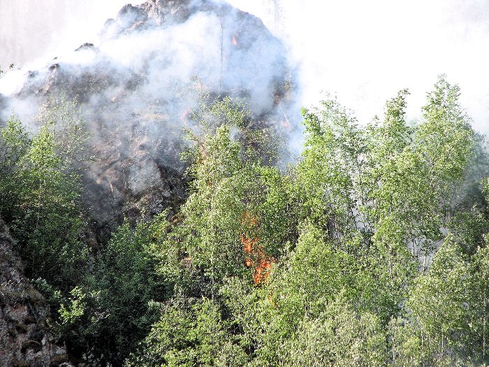 Les incendies sont un processus naturel, régénérateur de la forêt.