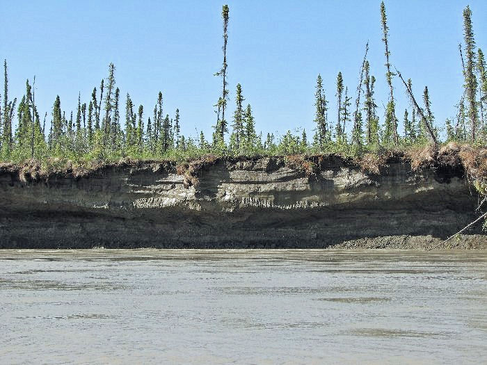 Le permafrost crée des surplombs impressionnants là où la rivière le gignote.