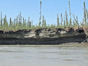 Le permafrost crée des surplombs impressionnants là où la rivière le gignote.