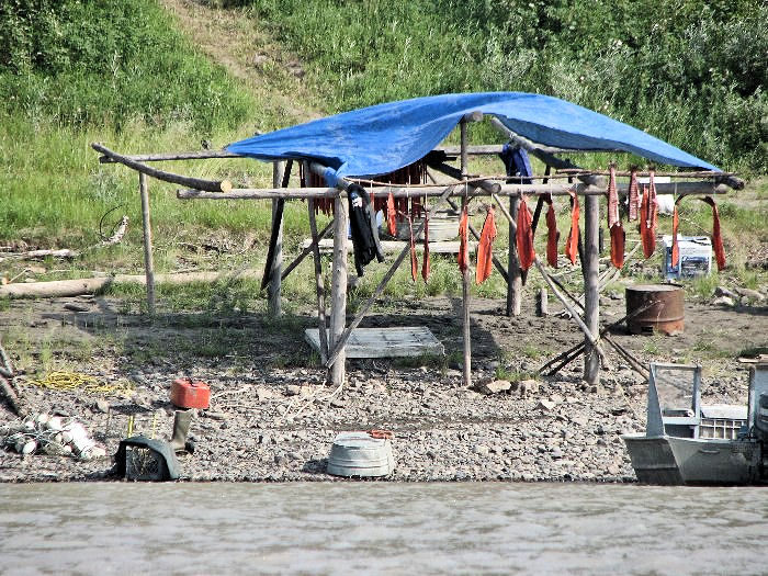Les camps de pêche des natifs sont nombreux dans ce secteur. Raison probable du nombre d'ours.